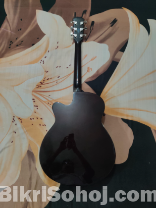 Acoustic Guitar Joy FA40-F